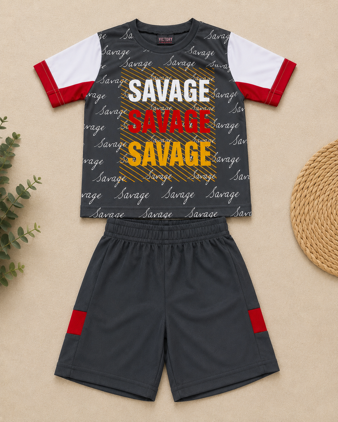 Boys Graphic T-Shirt & Shorts Set | 2T–4T