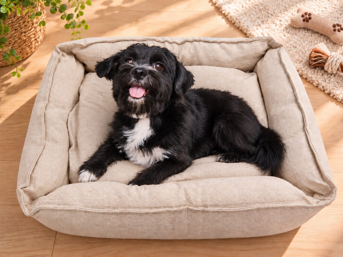 Cushioned Pet Bed – Beige | 70 × 45 cm